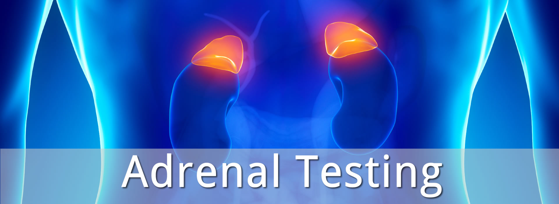 Adrenal Testing