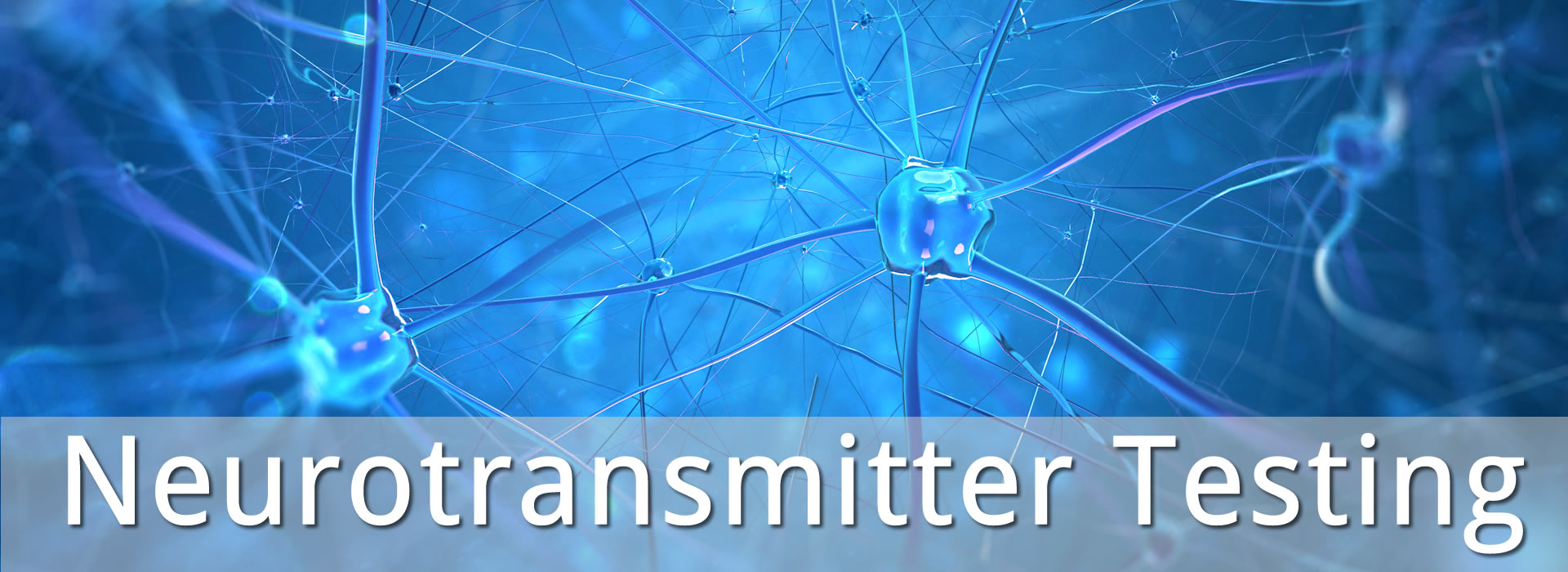 Neurotransmitter Testing